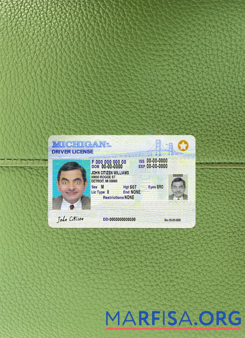 Realistic USA Michigan DL 2021 present photolook real example